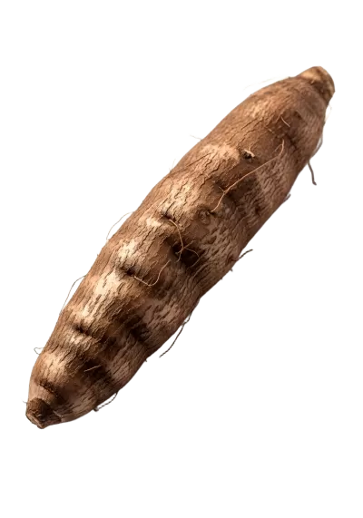 Imagen PNG para descargar